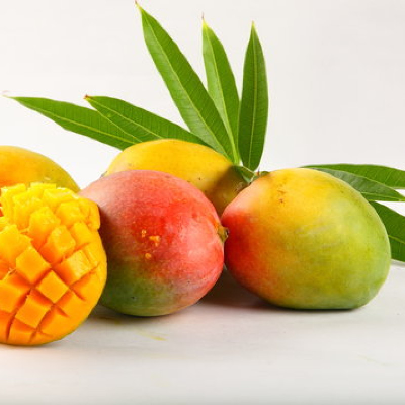 Mangos Alphonso: Unveiling the Majestic Reign of the King of Mangoes