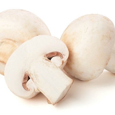 Mushroom