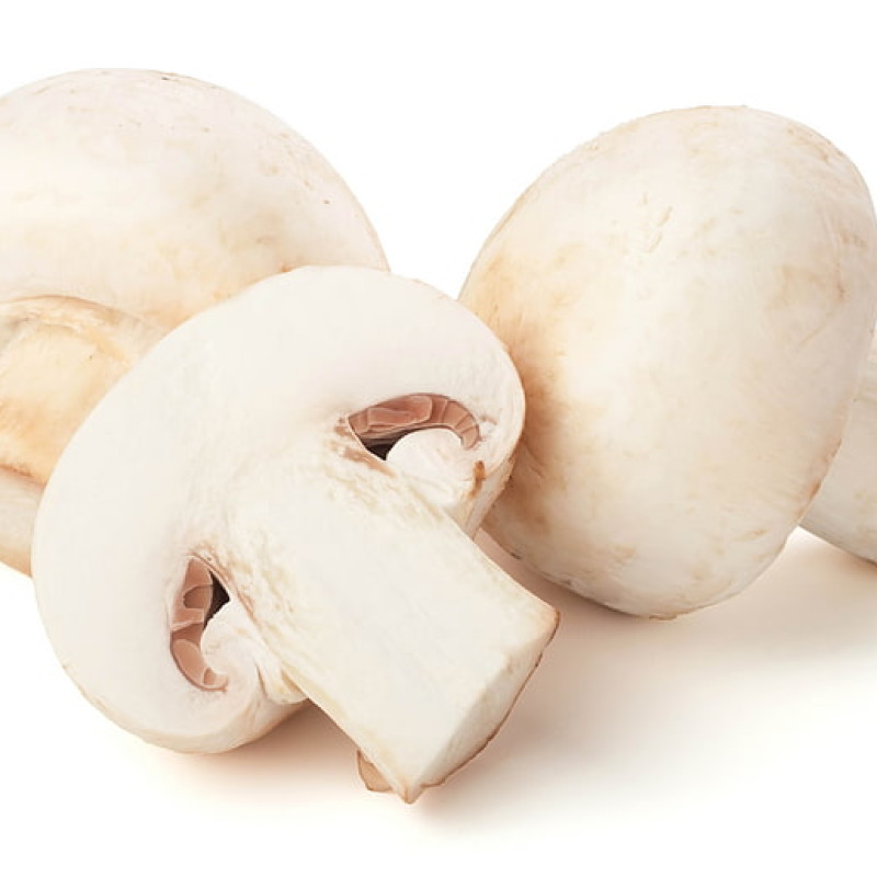 Mushroom
