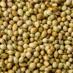 CORIANDER WHOLE(साबूत धनिया)