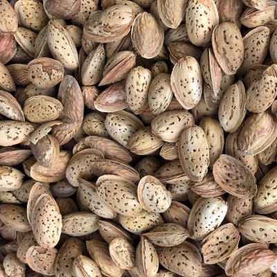 PAPER SHELL ALMONDS