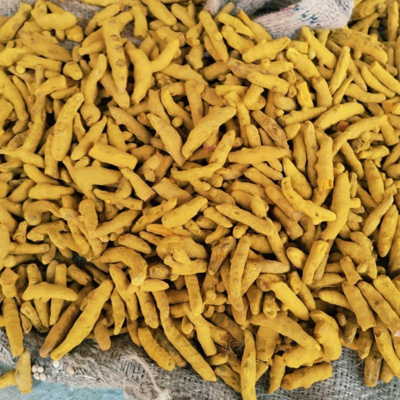 TURMERIC FINGER