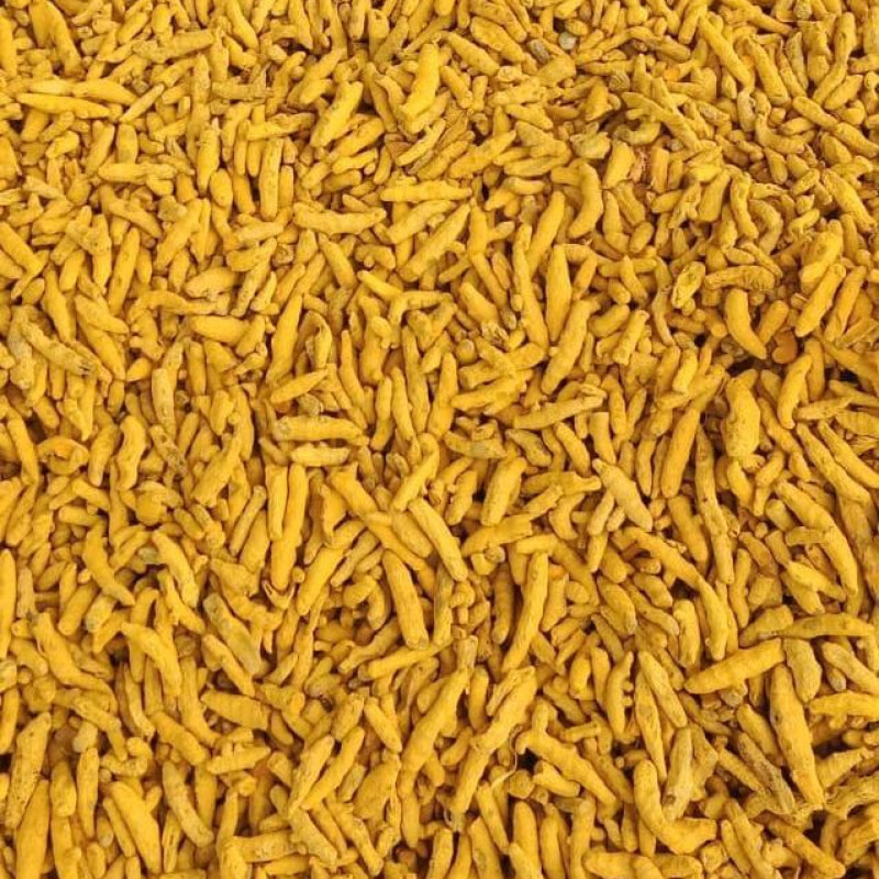 TURMERIC FINGER